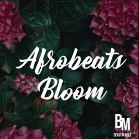 Beast Mode Afrobeats Bloom (Premium)