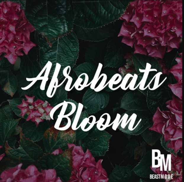 Beast Mode Afrobeats Bloom