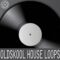 Cycles & Spots Oldskool House Loops (Premium)