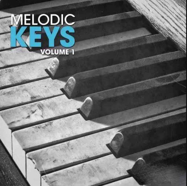 New Beard Media Melodic Keys Vol 1