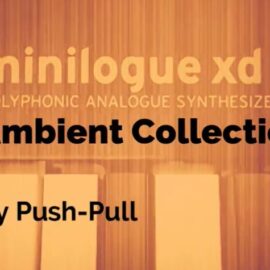 Push-Pull Minilogue XD The Ambient Collection (Premium)