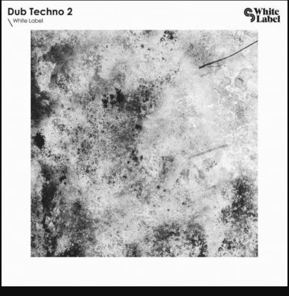 Sample Magic White Label Dub Techno 2