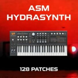 Synth-Patches 128 Patches for ASM Hydrasynth (Premium)