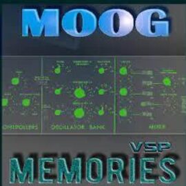 Vintage Synth Pads Moog Memories for Monark  (Premium)