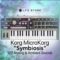 LFO Store Korg MicroKorg/Korg MS-2000 Symbiosis 128 Organic Presets (Premium)