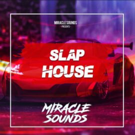 Miracle Sounds Slap House (Premium)