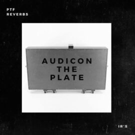 PastToFutureReverbs Audicon The Plate“ Tennessee Reverb IR’s! (Premium)