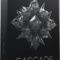 Cymatics CASCADE: Vocal Loop Collection (Premium)