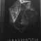 Cymatics MAMMOTH: 808 Collection (Premium)