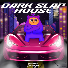 Dropgun Samples Dark Slap House (Premium)