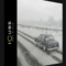 ICUBE R&D – CITYTRAFFIC, MADCAR, MULTISCATTER, SPLINELAND, FOR 3DS MAX 2024 (Premium)