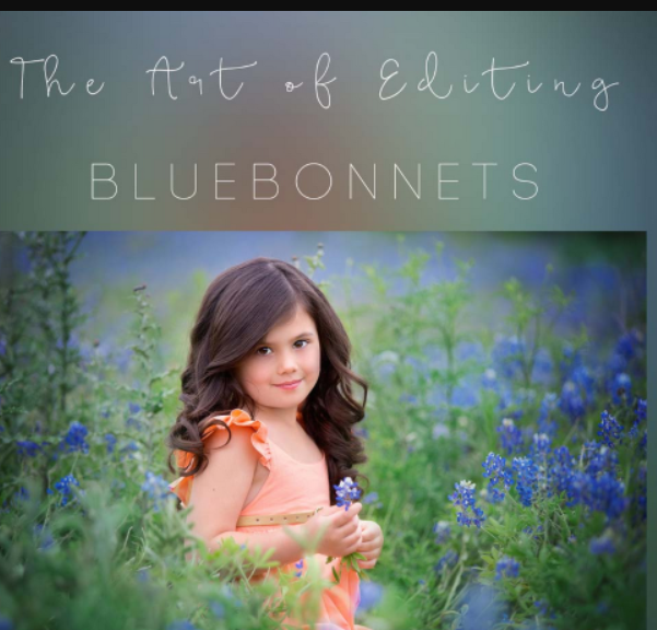 Sandra Bianco – Bluebonnets edit