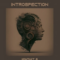 Triple Spiral Audio Introspection [KONTAKT] (Premium)