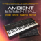 CO5MA Sequential DSI Rev2 Ambient Essential Sound Bank (Premium)