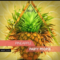 Irrupt Pineapple Party People (Premium)