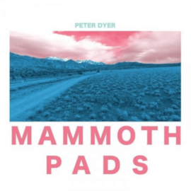 Peter Dyer MAMMOTH PADS for Prophet Rev2 (Premium)