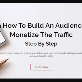 Steve Chou – Profitable Audience (Premium)