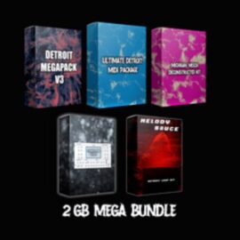 swizzyrunnit Detroit Bundle 2 (Premium)