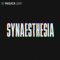 Producer Loops Synaesthesia (Premium)