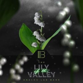 Brandon Chapa Lily Of The Valley (Analog Lab Bank) (Premium)