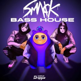 Dropgun Samples SMACK Bass House (Premium)