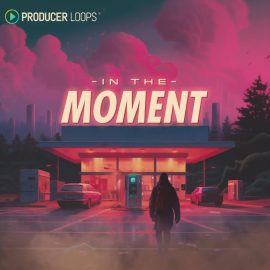 Producer Loops In The Moment (Premium)