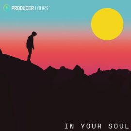 Producer Loops In Your Soul (Premium)