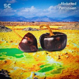 Sonic Collective Abducted Percussion (Premium)