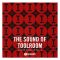 Toolroom The Sound Of Toolroom Serum Presets Vol. 2 (Premium)