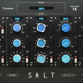 Acustica Audio Salt 2023 (Premium)