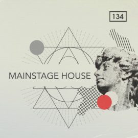 Bingoshakerz Mainstage House (Premium)