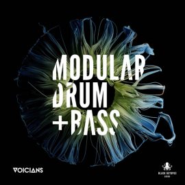 Black Octopus Sound Voicians Modular DNB (Premium)