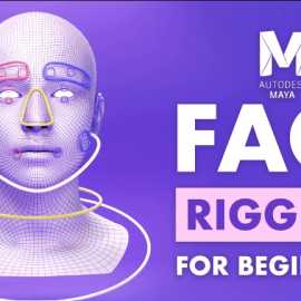 FlippedNormals – Face Rigging for Beginners (Premium)