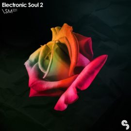 Sample Magic Electronic Soul 2 (Premium)