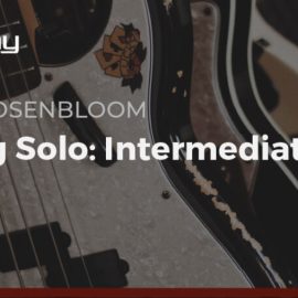 Truefire Seth Rosenbloom’s Flying Solo: Intermediate Blues (Premium)