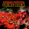 Boom Bap Labs Strongarm Productions Grime Rock Vol.1 (Premium)