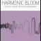 Sonora Cinematic Harmonic Bloom v1.3 KONTAKT (Premium)