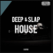 EDM Sound Productions Deep and Slap House (Premium)