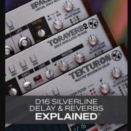 Groove3 D16 Silverline Delays and Reverbs Explained [TUTORiAL] (Premium)