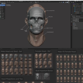 Master Sculpting Heads – 3D Blender Course – New Update! (V1.4) (Premium)