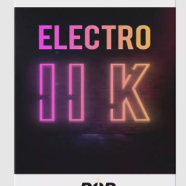 PopLab Audio Electro 2k Electro-Pop Sounds from the 2010s (Premium)