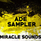 Miracle Sounds ADE Sampler MULTiFORMAT (Premium)