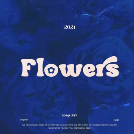 nolyrics FLOWERS MULTiFORMAT (Premium)