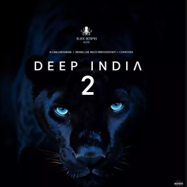 Black Octopus Sound Deep India Vol.2 (premium)