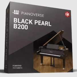 IK Multimedia Pianoverse Black Pearl B200 (Premium)