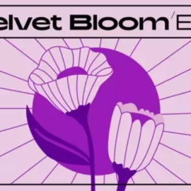 Native Instruments Velvet Bloom Maschine Expansion  (Premium)