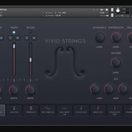 Pulse Audio Vivid Strings Basses KONTAKT (Premium)