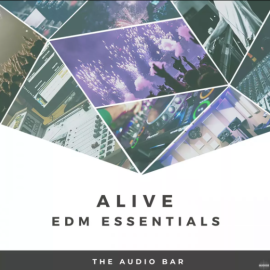 The Audio Bar Alive EDM Essentials (Premium)