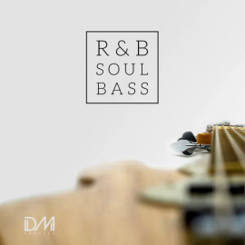 Dm Samples RnB Soul Bass (Premium)