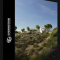 Evermotion – Archmodels vol. 276 – Desert Plants (Premium)